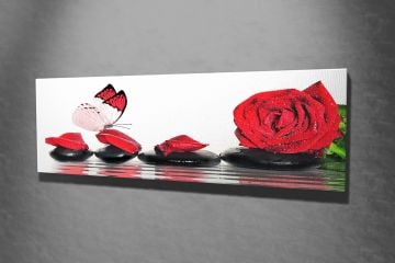 Kırmızı Gül ve Kelebek Kanvas Tablo