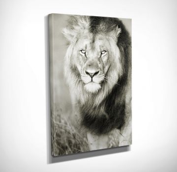 Aslan Kanvas Tablo