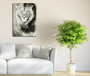Aslan Kanvas Tablo