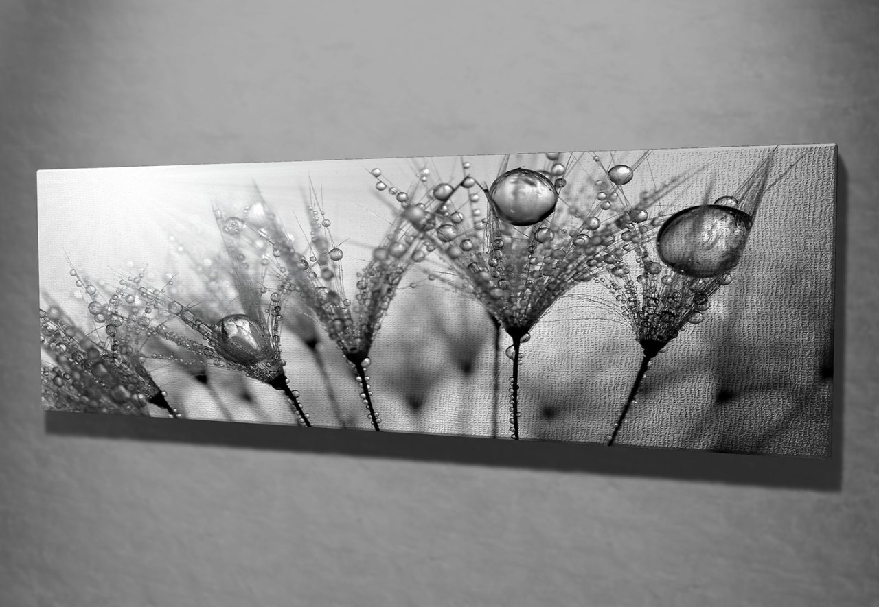 Su Damlaları Kanvas Tablo