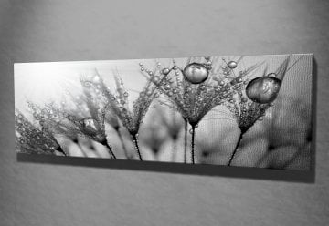 Su Damlaları Kanvas Tablo