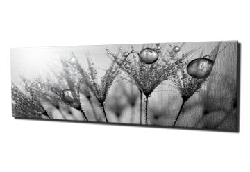 Su Damlaları Kanvas Tablo