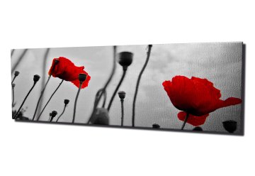 Gelincikler Kanvas Tablo