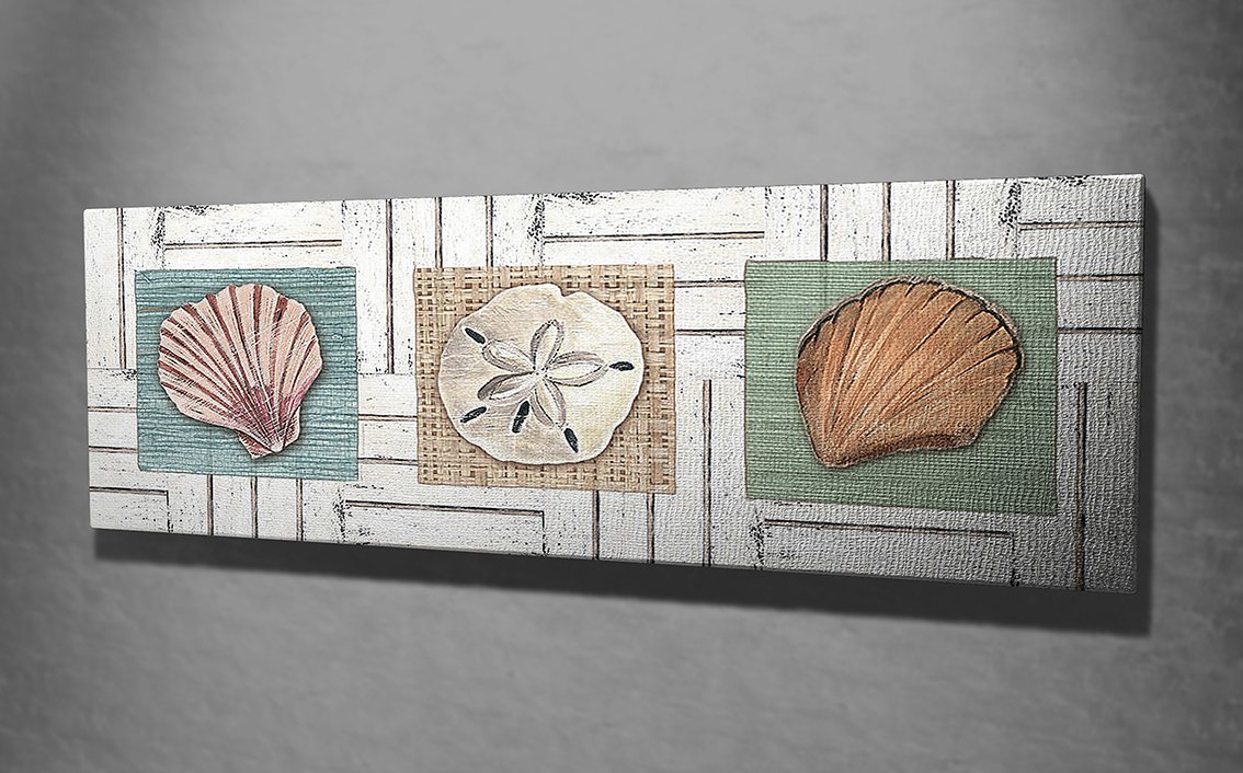 Deniz Kabukları Kanvas Tablo
