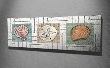 Deniz Kabukları Kanvas Tablo